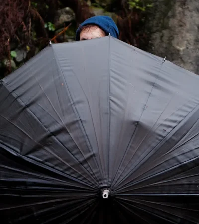 Tímida atrás das varetas