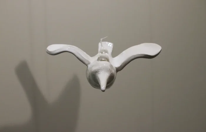 IMG_6535_cagarro_pendurado_4