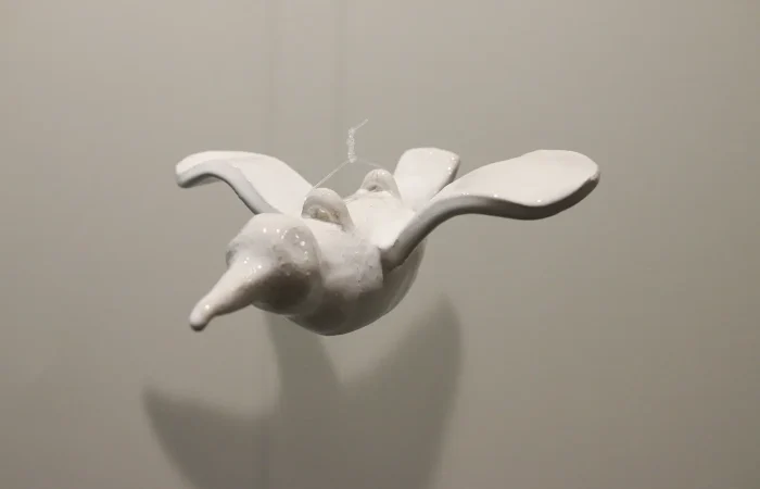 IMG_6536_cagarro_pendurado_4