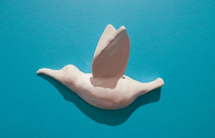 IMG_6542_cagarro_de_parede_3