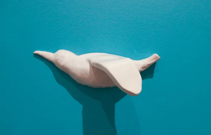 IMG_6543_cagarro_de_parede_2