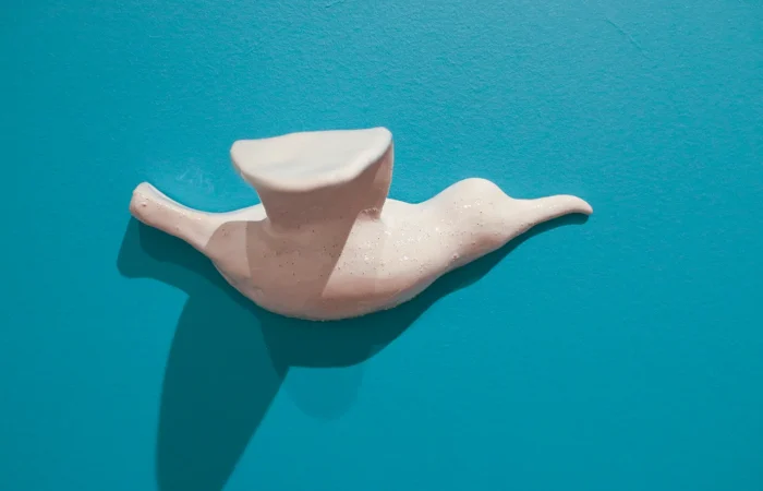 IMG_6544_cagarro_de_parede_1