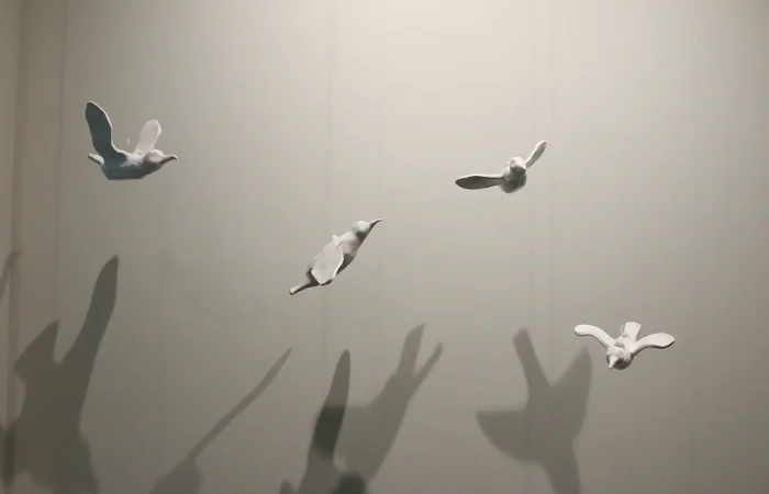 IMG_6548_cagarro_pendurado_all