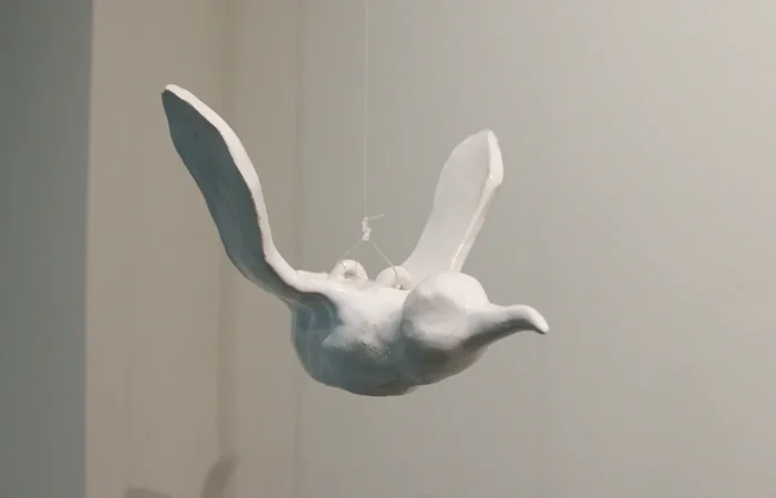 IMG_6559_cagarro_pendurado_1_