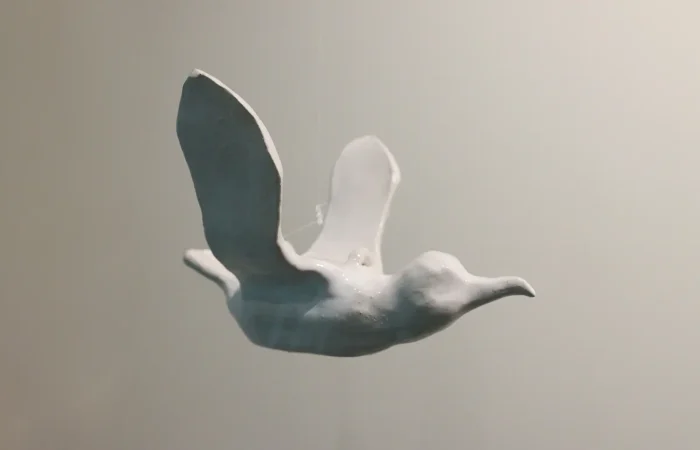 IMG_6562_cagarro_pendurado_1