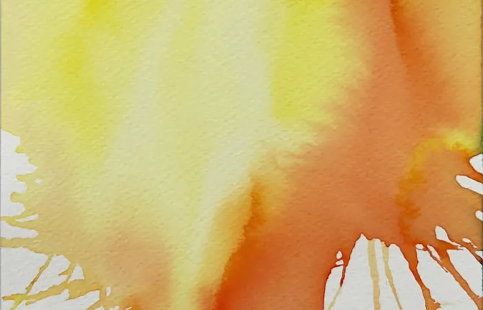 WhatsApp Image 2025-08-27 at 15.03.25 (1)