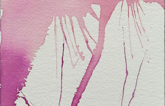 WhatsApp Image 2025-08-27 at 15.03.25 (4)