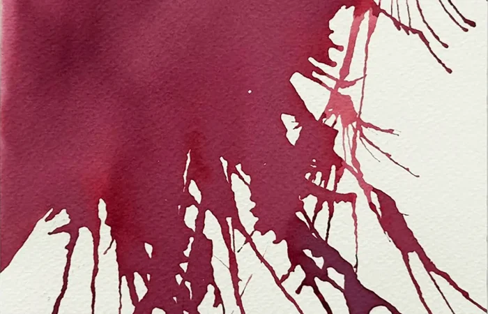 WhatsApp Image 2025-08-27 at 15.03.25