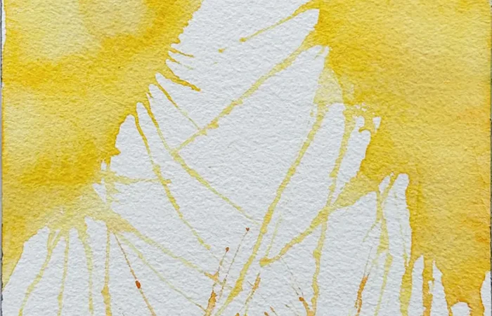 WhatsApp Image 2025-08-27 at 15.03.26 (7)